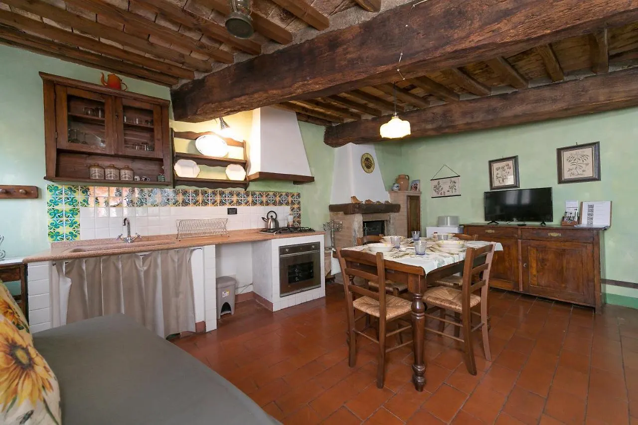 Tatil Evi Il Mirtillo Pisa İtalya